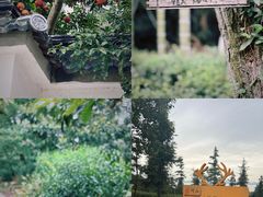 -东山风景区(洞庭东山)