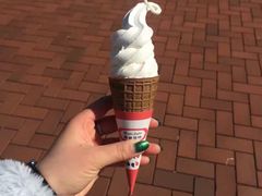 -富豪雪糕车流动点(尖沙咀店)