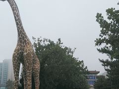 -西霞口神雕山野生动物世界
