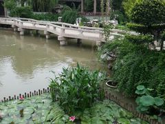 android_upload_pic-檀园