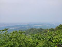 -紫金山山顶公园