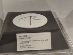 -北京周口店北京人遗址博物馆