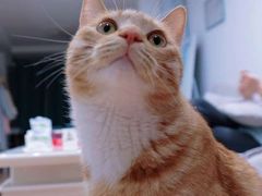 -東更道点心行(文化东路店)