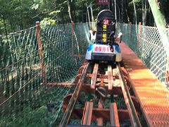 -藏龙百瀑风景区