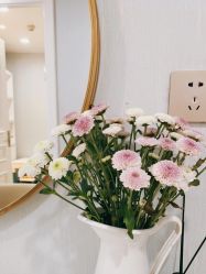 -YESIDO椰岛美容