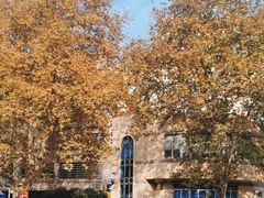 -上海交通大学医学院附属瑞金医院(总院)