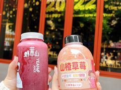 -野萃山·潮汕厚果汁(十亩地店)