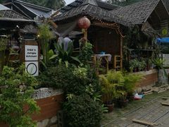 -Jungle Kitchen
