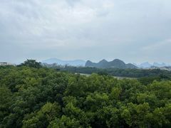 -维纳斯酒店-忆咖啡观景餐厅(象山公园店)
