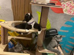 -么么咖啡(燕郊店)