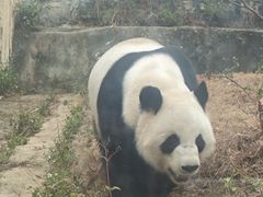 -泉州海丝野生动物世界