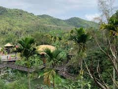 -海南槟榔谷黎苗文化旅游区