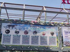 -青藏高原野生动物园