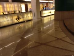 -成都凯宾斯基饭店