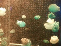 -多彩贵州城极地海洋世界