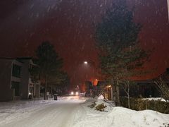 -北极村旅游风景区