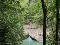 -广州白江湖森林公园