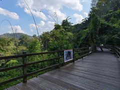 -野象谷景区