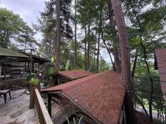 -生态园山庄(森林公园店)