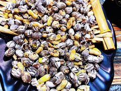 -周记老沈阳焦火鸡架