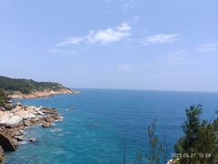 -广东惠东海龟国家级自然保护区
