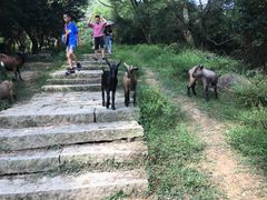 -大姆山草场
