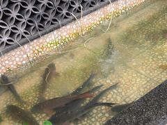 -61号餐吧(兴坪古镇漓江店)