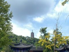 -焦山风景区