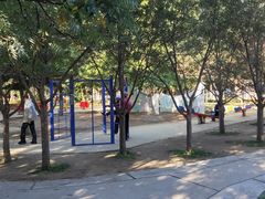 游乐设施-沈阳中山公园