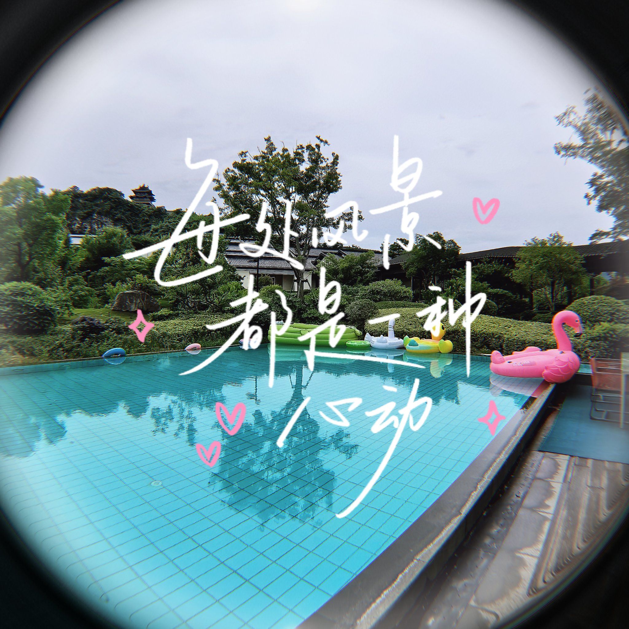 别墅游泳池的夏日清凉