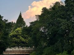 -陈麻婆豆腐(旗舰店)