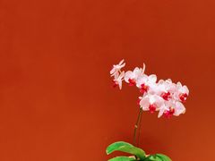 -二酉书店TOYOU BOOKS