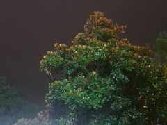 -金银湖国家城市湿地公园