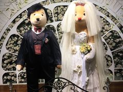 -济州岛泰迪熊博物馆