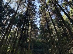 -上色见熊野座神社