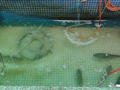 -禄源公·老莞诚饭店