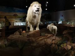 -陕西自然博物馆