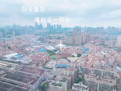 -汤臣·空中餐厅·严选粤菜(石湾世博广场店)