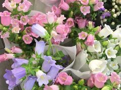 -双季花艺园艺市场(浦东店)