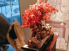 -顺峰(农展馆店)