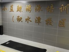 -小蓝鲸游泳培训基地(积水潭店)