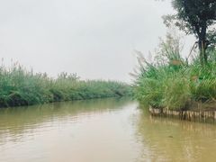 -泗洪洪泽湖湿地景区