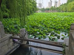 -包公祠