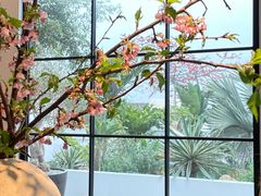 -自由生长植物工作室(深港花卉中心店)