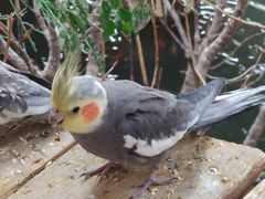 -南宫五洲植物乐园