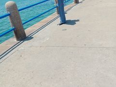 -绿岛汤泉韩式休闲会所