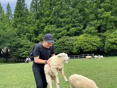 -神户市立六甲山牧场
