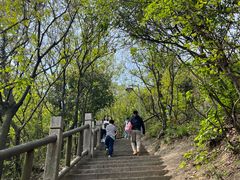 -峙山公园