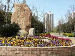 android_upload_pic-苏州河梦清园环保主题公园