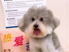 -芭比堂动物医院·24小时·眼科中心(深圳中心)
